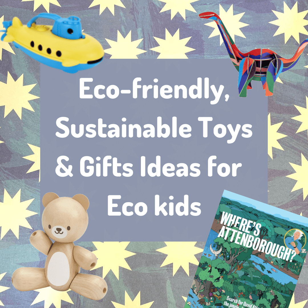 Eco-friendly, sustainable toys & gifts ideas for eco aware kids - Wigwam Toys Brighton