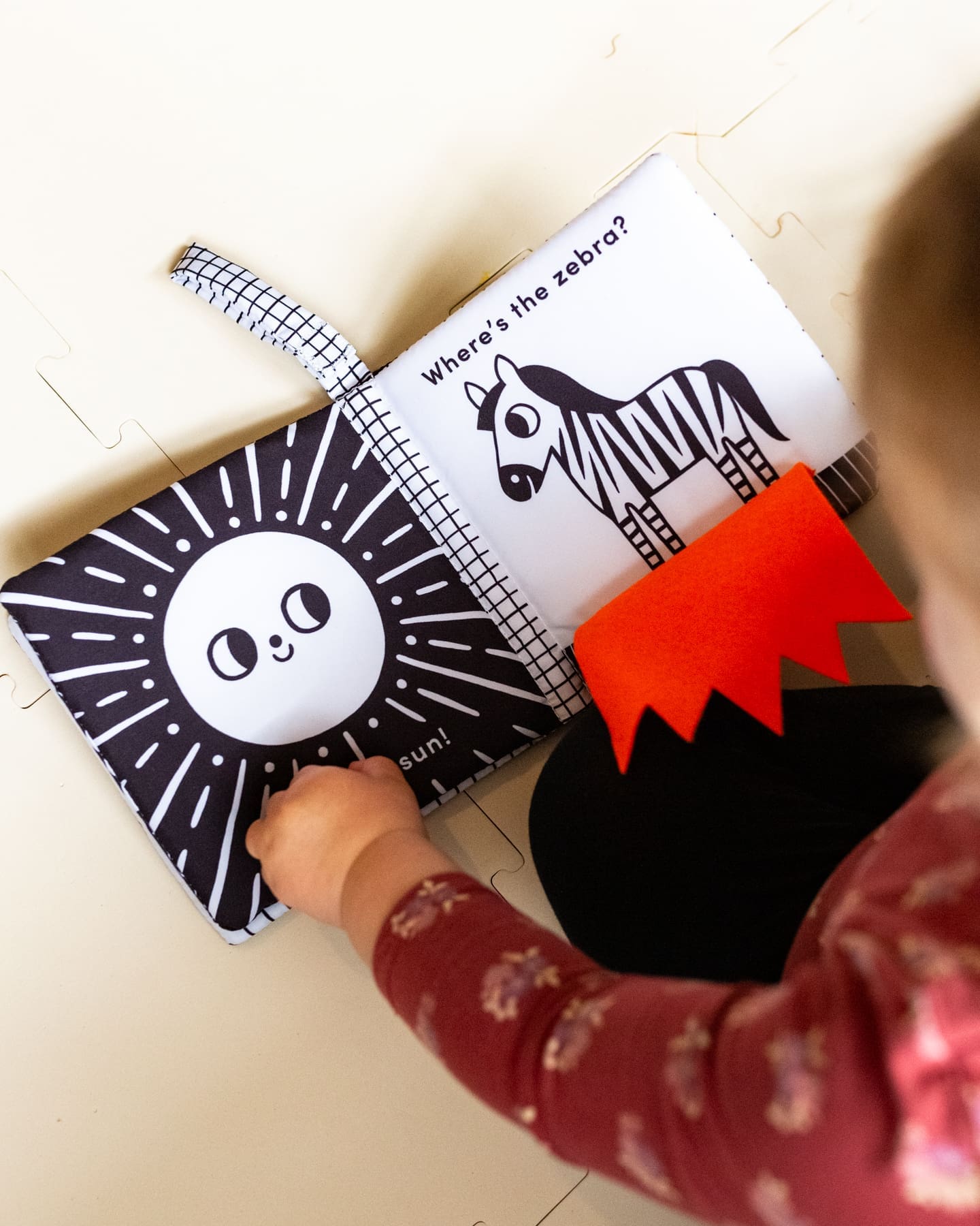 Nosy Crow Baby's First Cloth Book - Cuddly LION