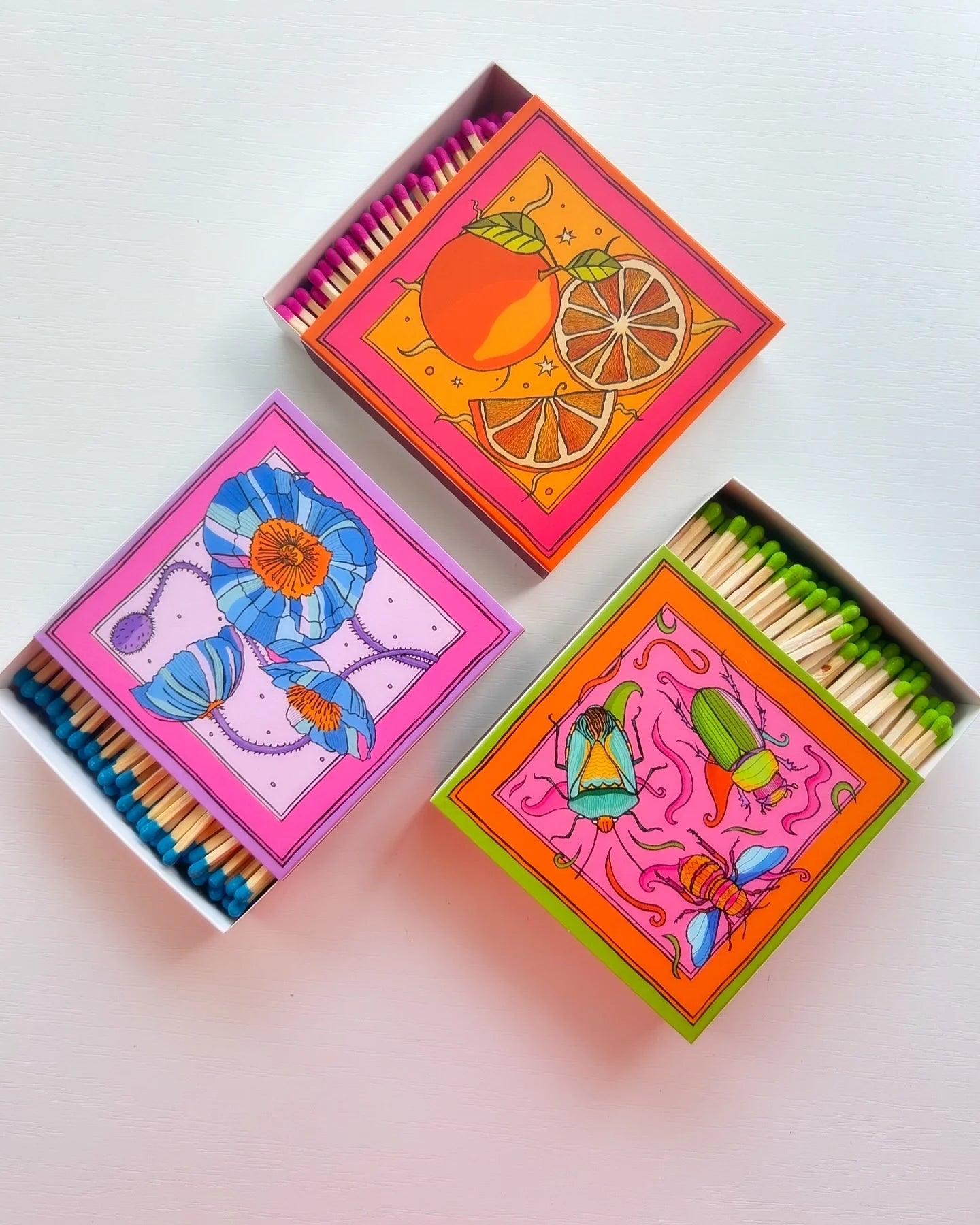 The Colour Emporium Beautiful Bugs Matchbox