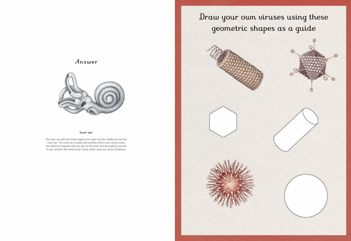 Bookspeed Anatomicum Activity Book