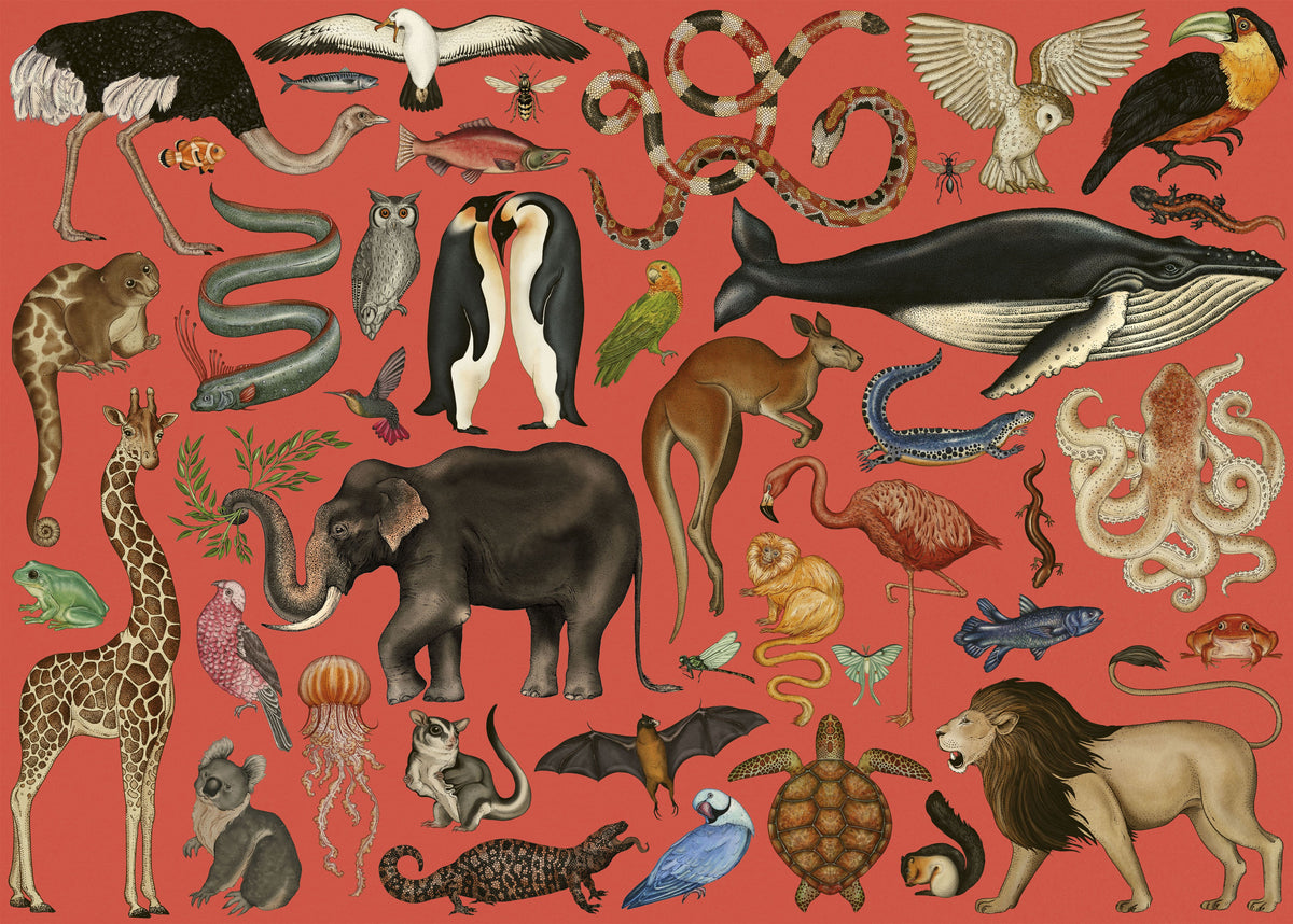 Bookspeed Animalium Jigsaw Puzzle
