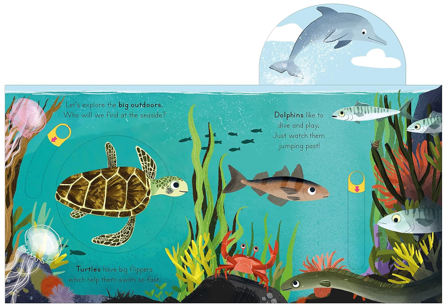National Trust: Big Outdoors for Little Explorers: Seaside