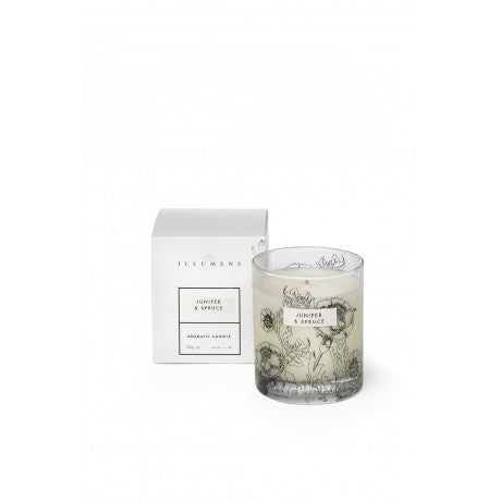 Illumens Botanical Collection Nutmeg and Cinnamon Scented Candle