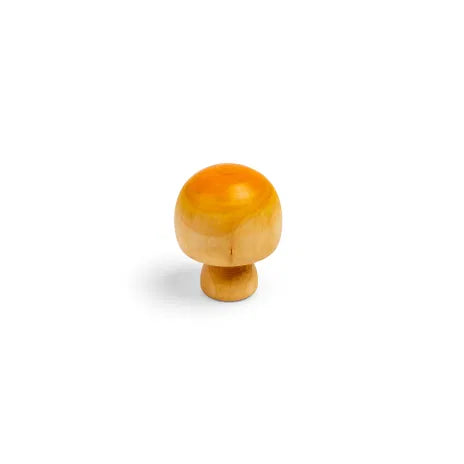 Bigjigs Wooden Food - Mushrooms