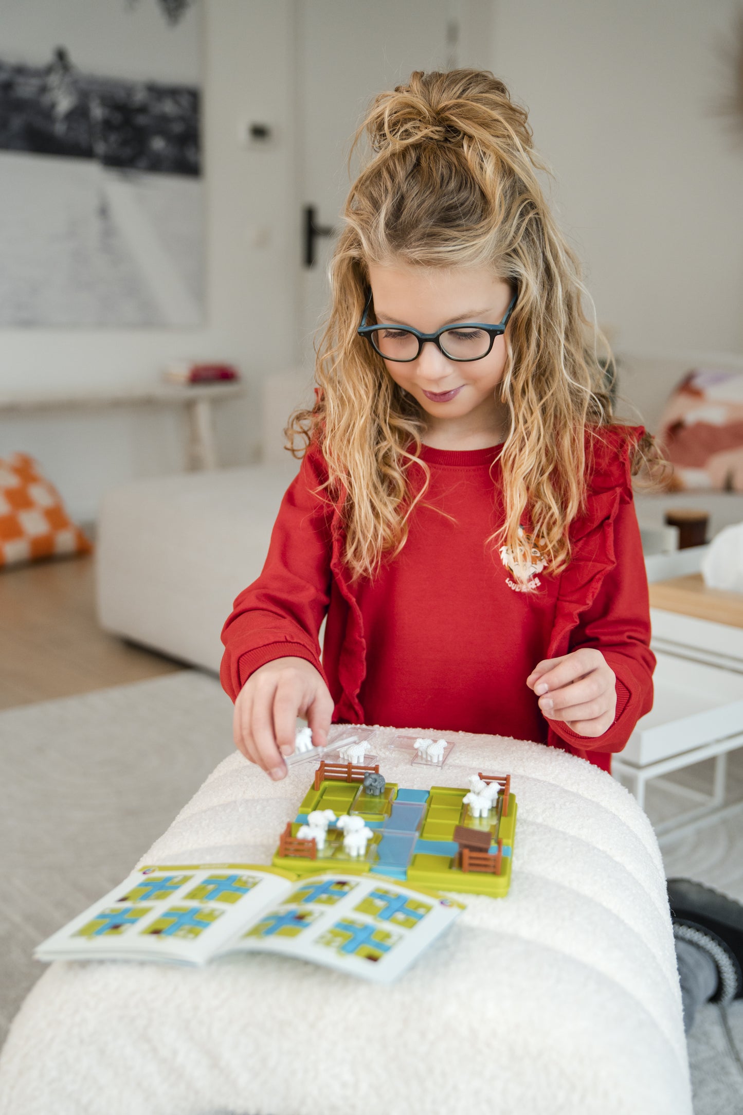 Smart Games Counting Sheep