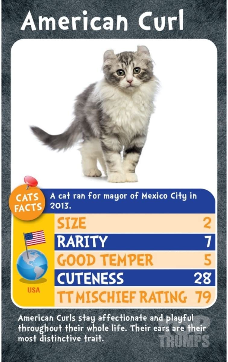 Cats Top Trumps - Wigwam Toys Brighton (5850899316896)