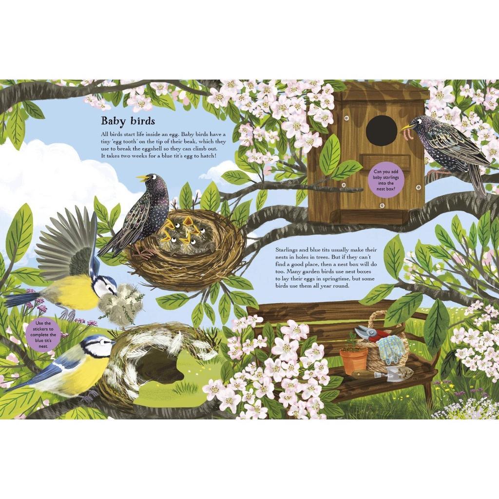 Nosy Crow Print Books National Trust: Robins, Wrens and other British Birds by Nikki Dyson (7606094889208)