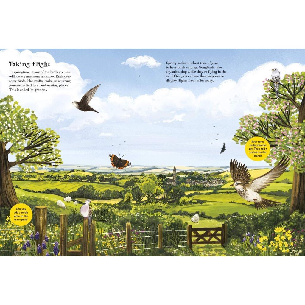 Nosy Crow Print Books National Trust: Robins, Wrens and other British Birds by Nikki Dyson (7606094889208)