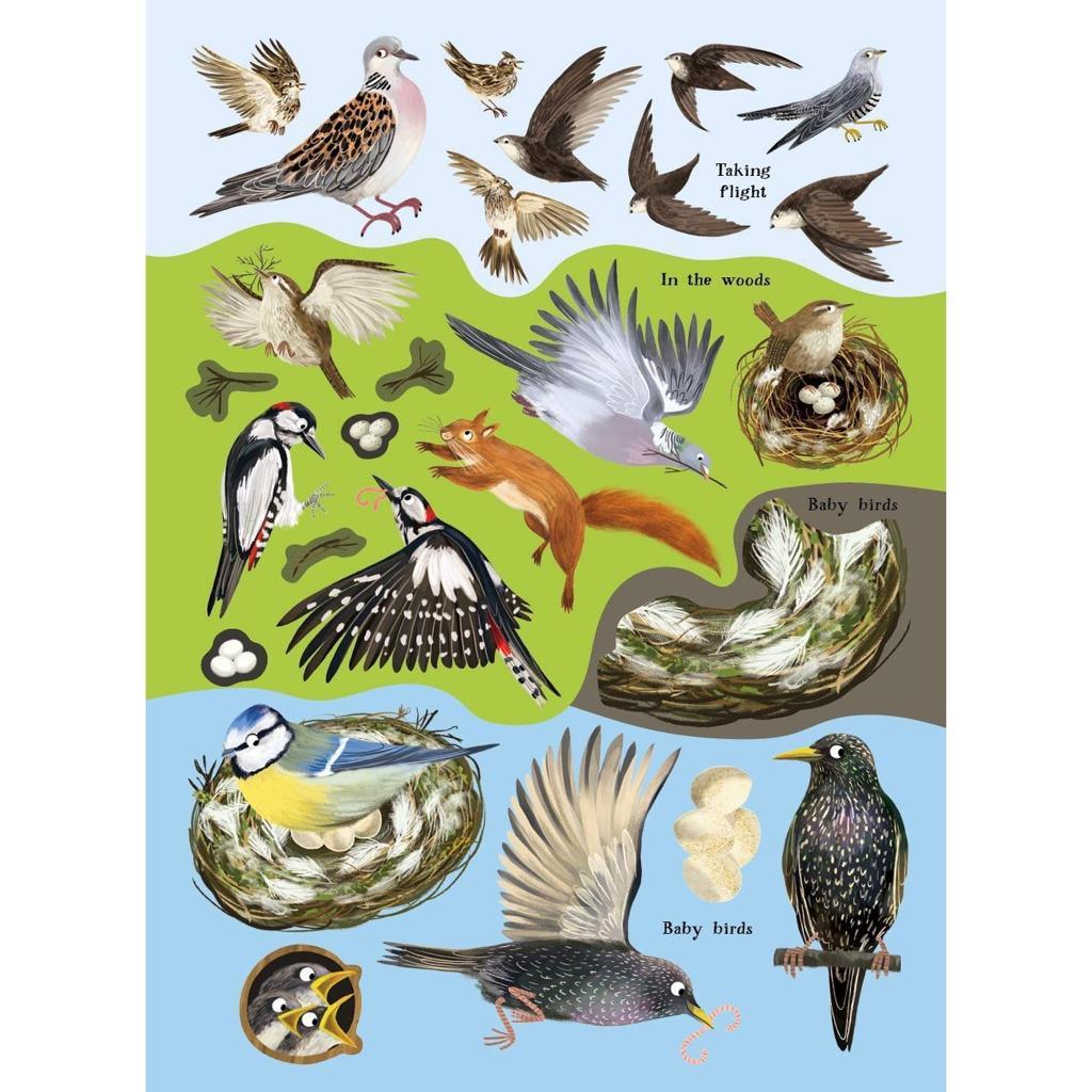 Nosy Crow Print Books National Trust: Robins, Wrens and other British Birds by Nikki Dyson (7606094889208)