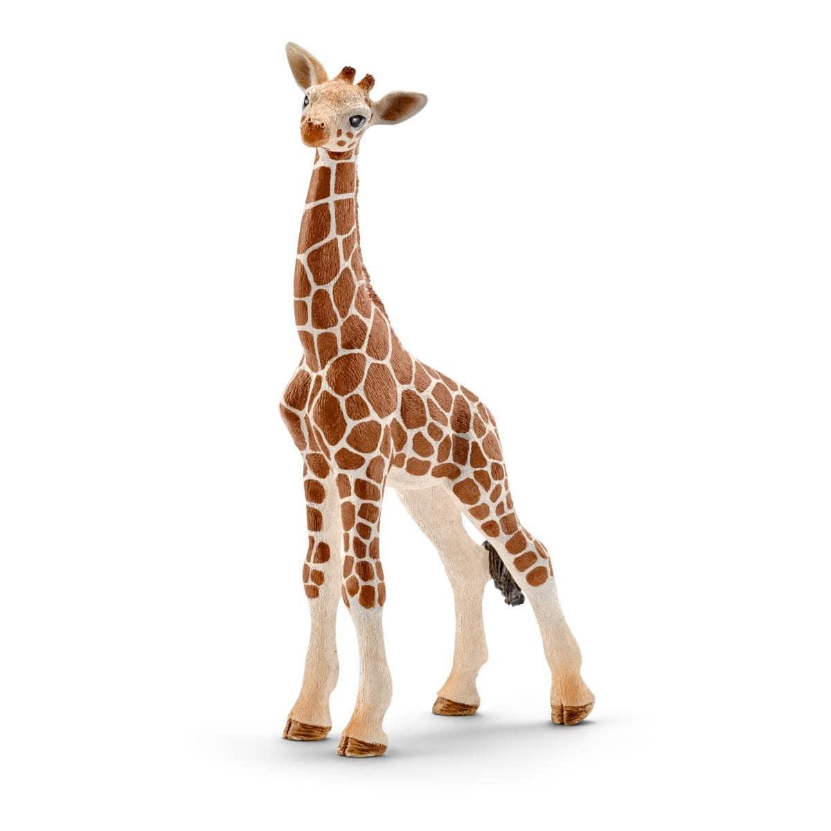 Schleich® Figurines Schleich 14751 Giraffe Calf (4947388891274)