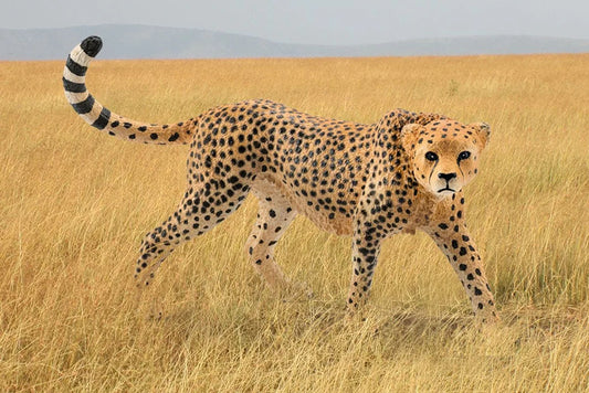 Schleich 14746 Cheetah Female