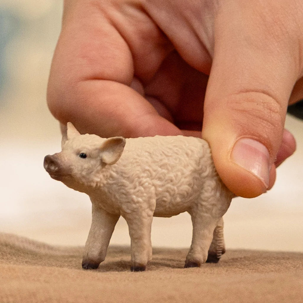 Schleich 14893 Mangalica Piglet