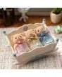 Sylvanian Families Biscuit Bear Sleepy Triplets