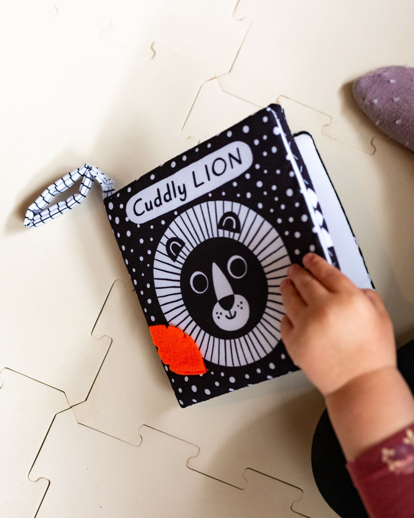 Nosy Crow Baby's First Cloth Book - Cuddly LION