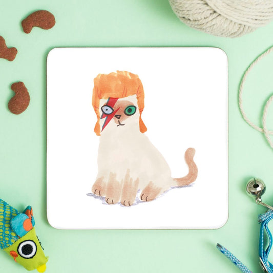 Cat in David Bowie Wig