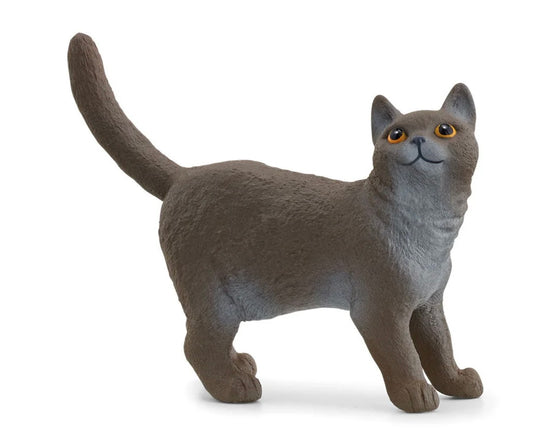 Schleich British Shorthair Cat