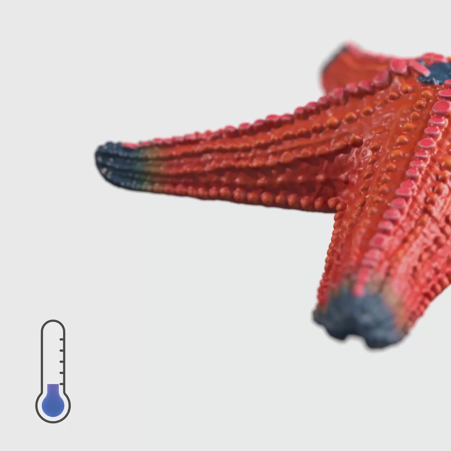 Schleich 14902 StarFish Colour Change