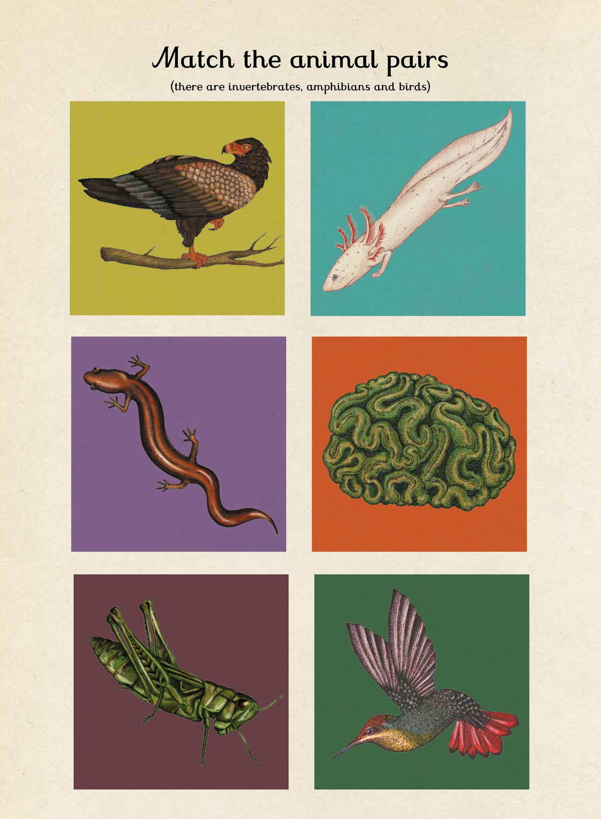 Bookspeed Animalium Activity Book