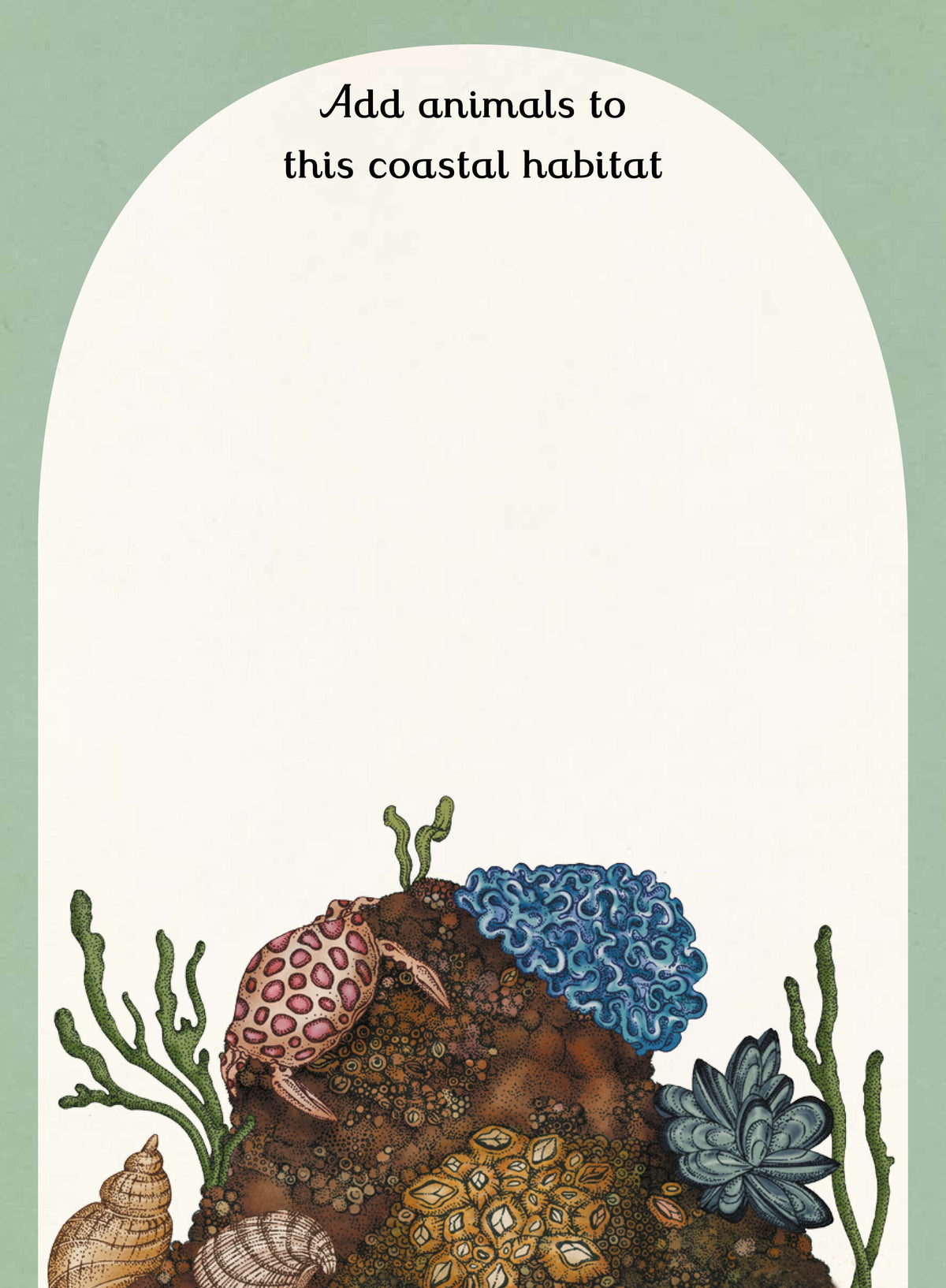 Bookspeed Animalium Activity Book