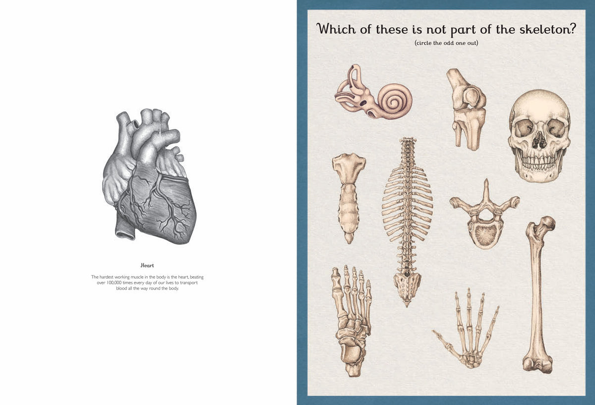 Bookspeed Anatomicum Activity Book