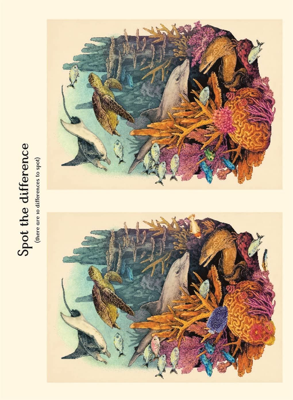 Bookspeed Oceanarium Activity Book