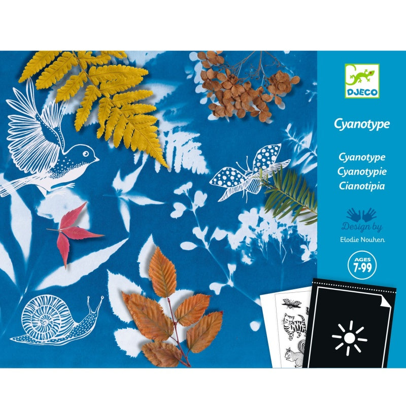 Djeco DJ09339 Cyanotype Starter Kit