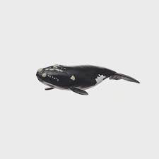 Schleich North Atlantic Whale 14978