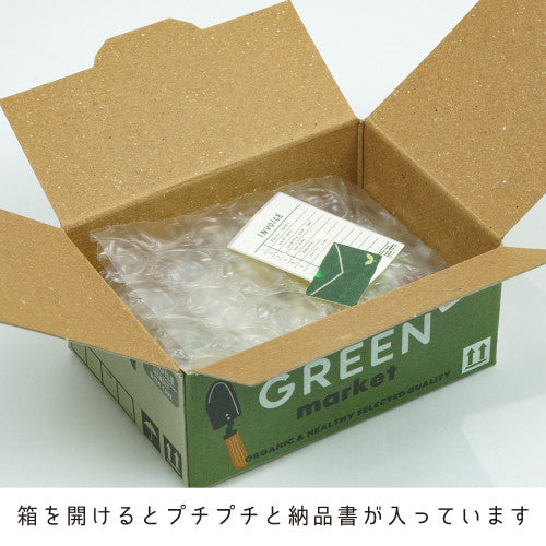 Stone Marketing Japanese HACO Houseplants Stickers