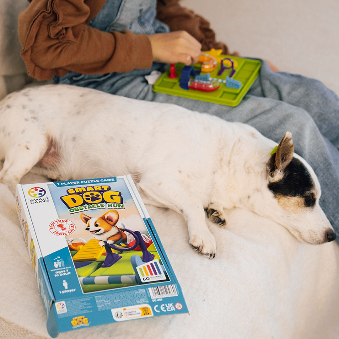 Smart Games Smart Dog Obstacle Run