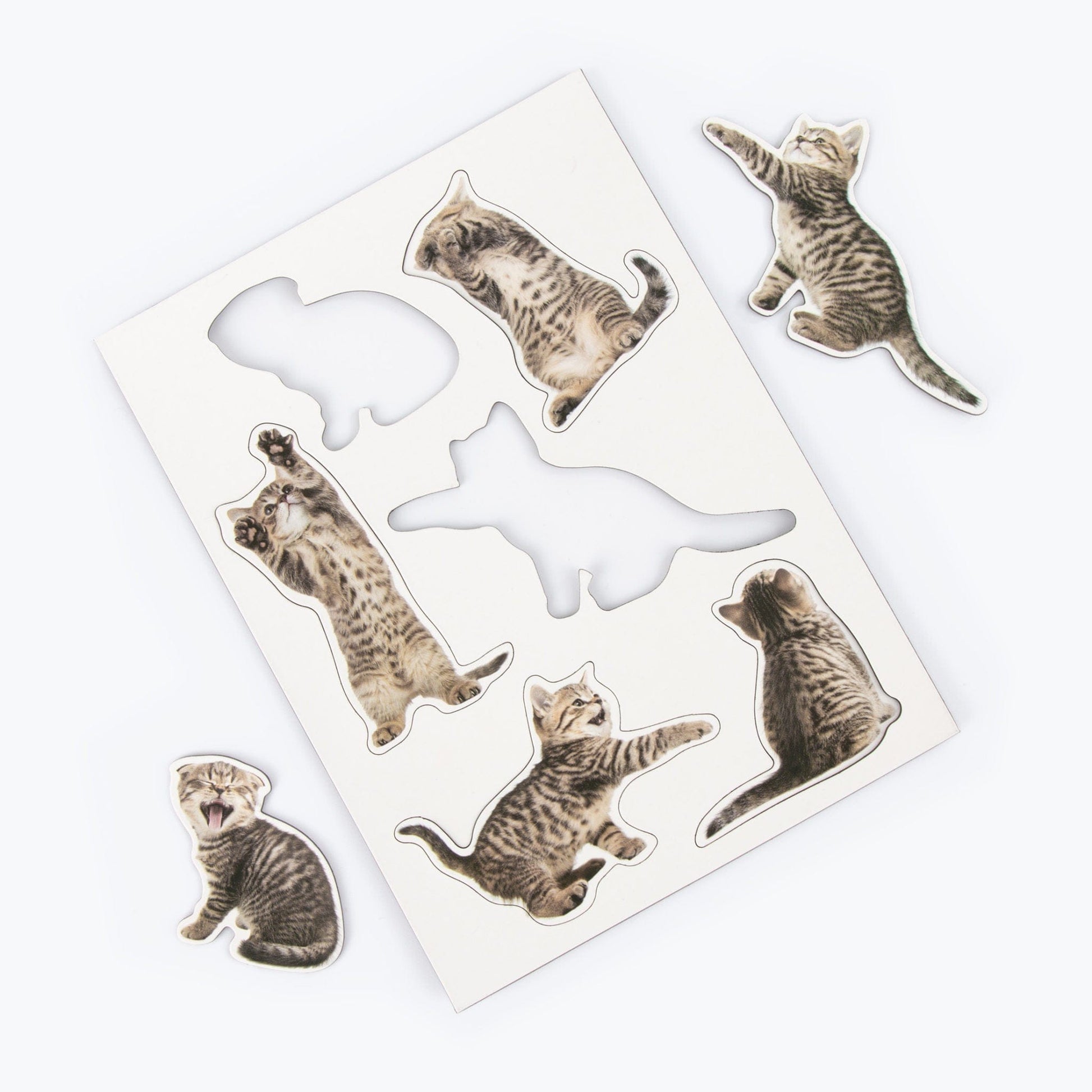 Mustard Fridge Magnets Action Cats Fridge Magnet Set (7823388836088)