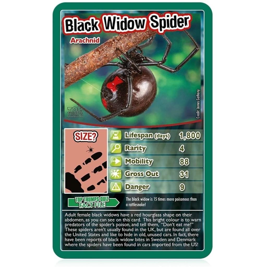 Winning Moves Top Trumps Bugs Top Trumps (6646730195104)