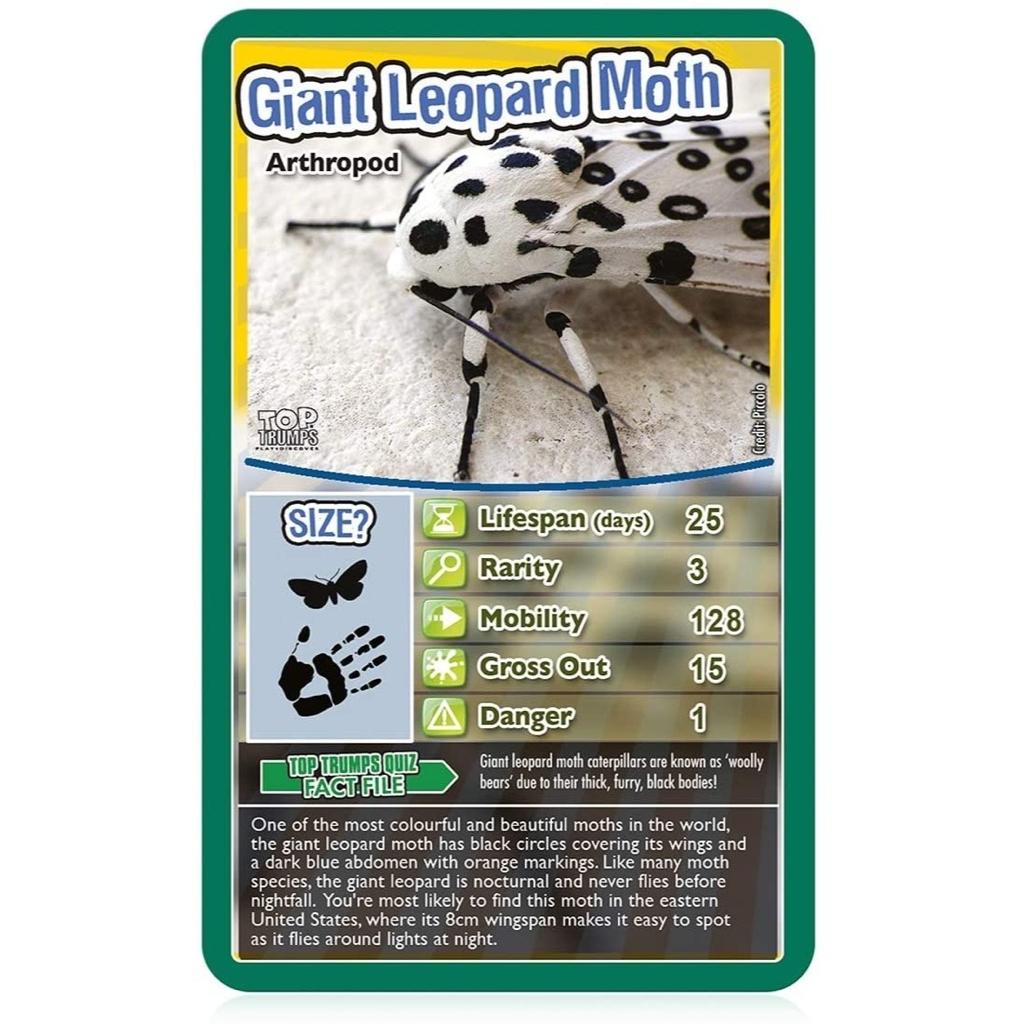 Winning Moves Top Trumps Bugs Top Trumps (6646730195104)