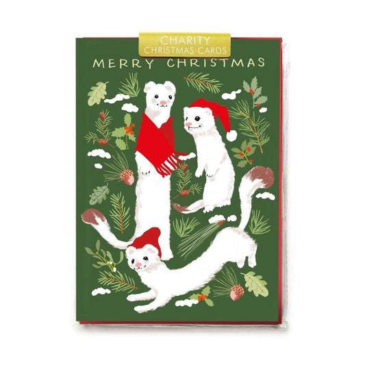 Noi Publishing Christmas Cards Charity Pack White Ferrets 5 Christmas Cards & Envelopes (7838204363000)