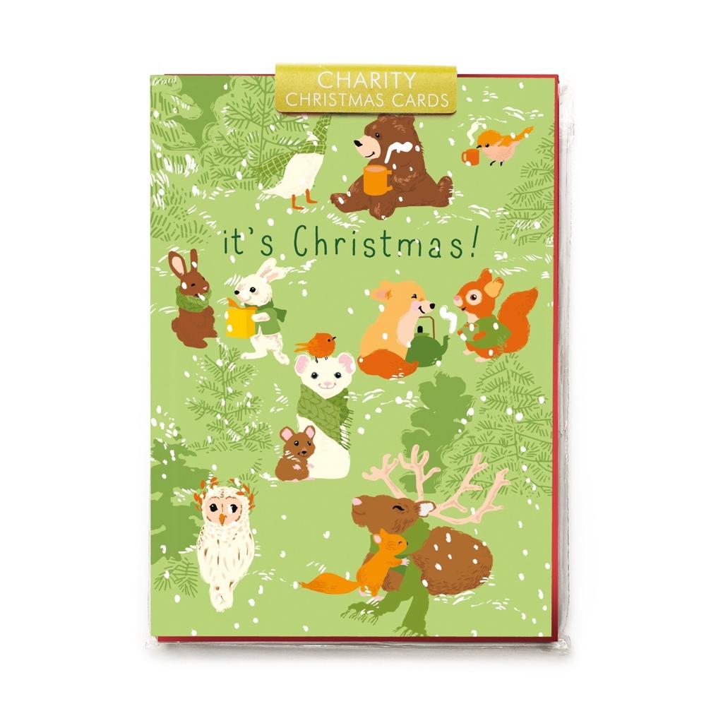 Noi Publishing Christmas Cards Charity Pack Winter Animals 5 Christmas Cards & Envelopes (7838178115832)