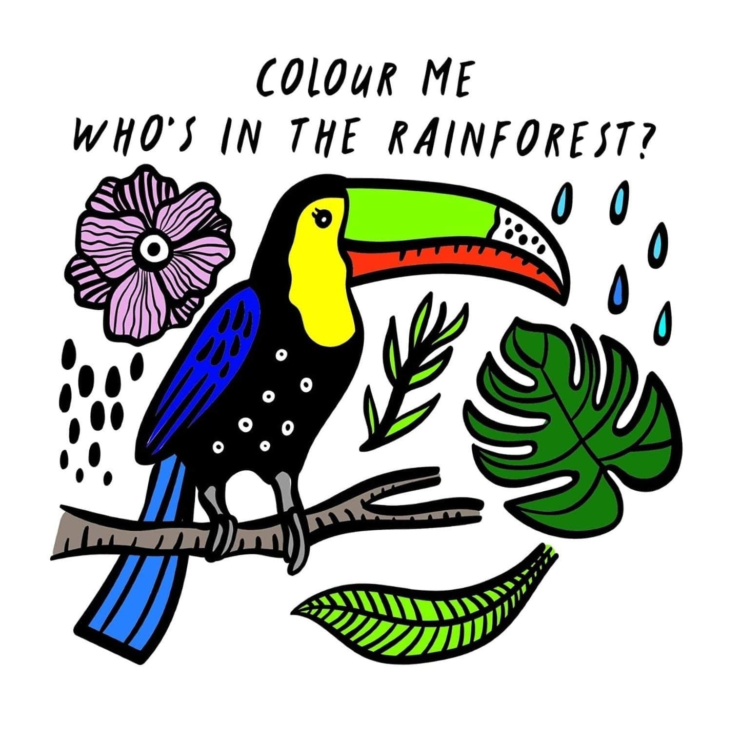 Colour Me: Who’s in the Rainforest? Wee Gallery Bath Books - Wigwam Toys Brighton (5103302377610)
