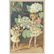 The Wooden Postcard Company Postcard Ground Elder Fairy Wooden Postcard (7069912105120)