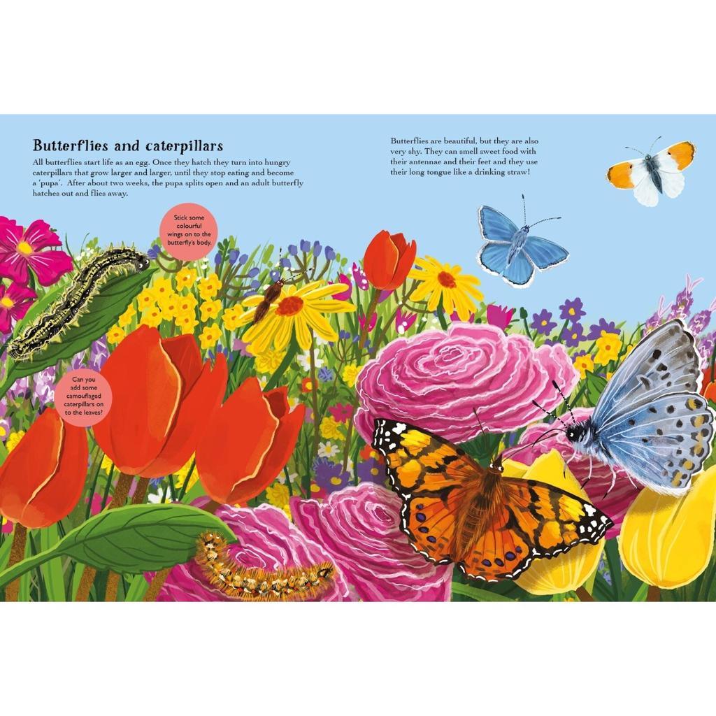 Nosy Crow Print Books National Trust: Beetles, Butterflies and other British Minibeasts by Nikki Dyson (7606113370360)