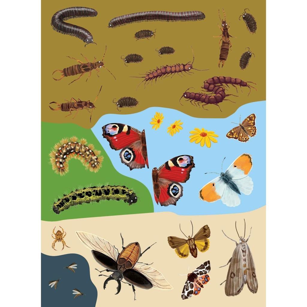 Nosy Crow Print Books National Trust: Beetles, Butterflies and other British Minibeasts by Nikki Dyson (7606113370360)