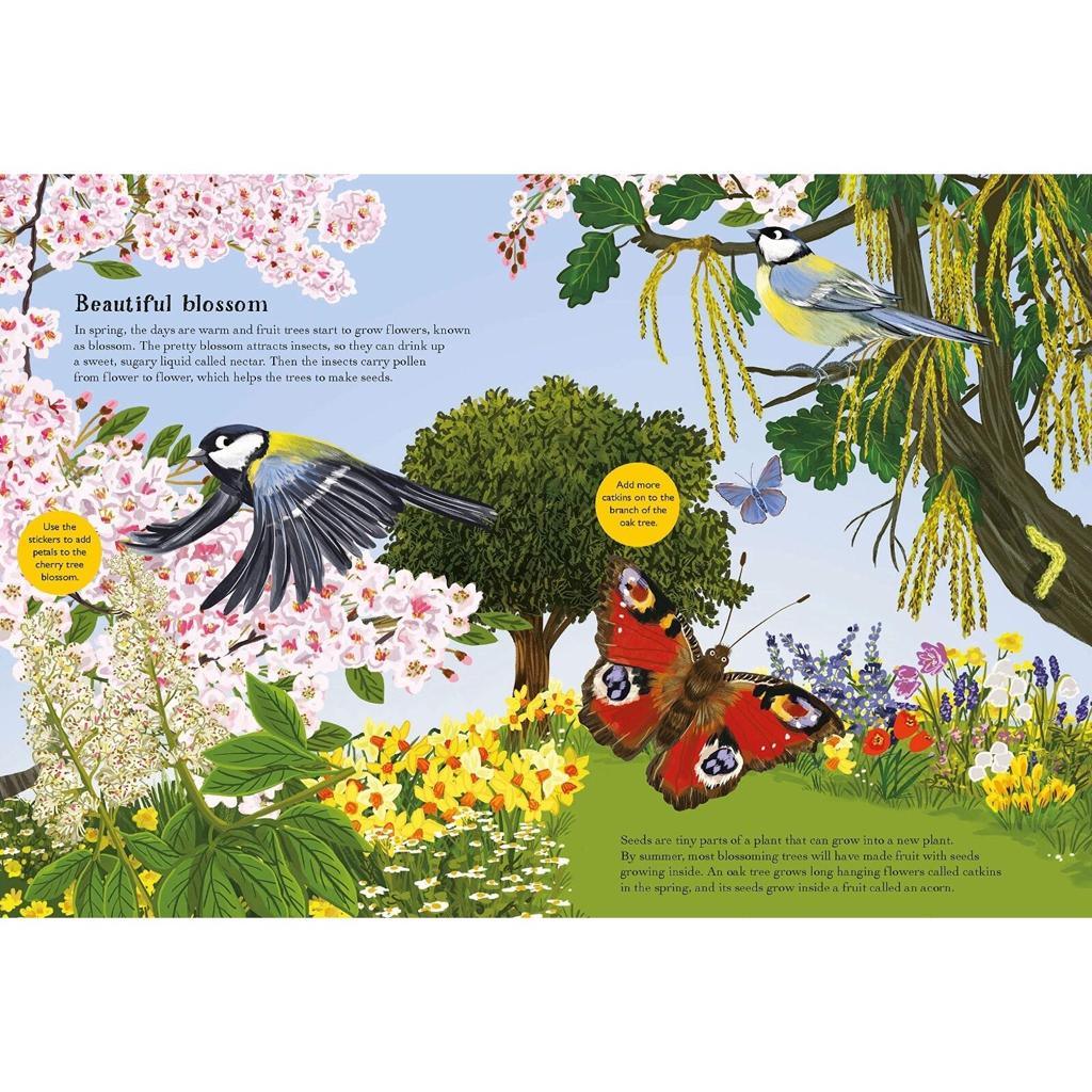 Nosy Crow Sticker Book National Trust: Birch Trees, Bluebells and Other British Plants by Nikki Dyson (6798790852768)