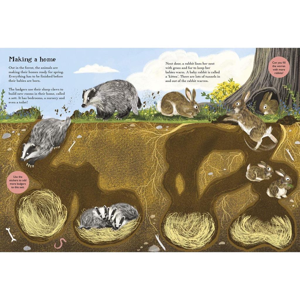 Nosy Crow Print Books National Trust: Hedgehogs, Hares and Other British Animals by Nikki Dyson (7606161015032)