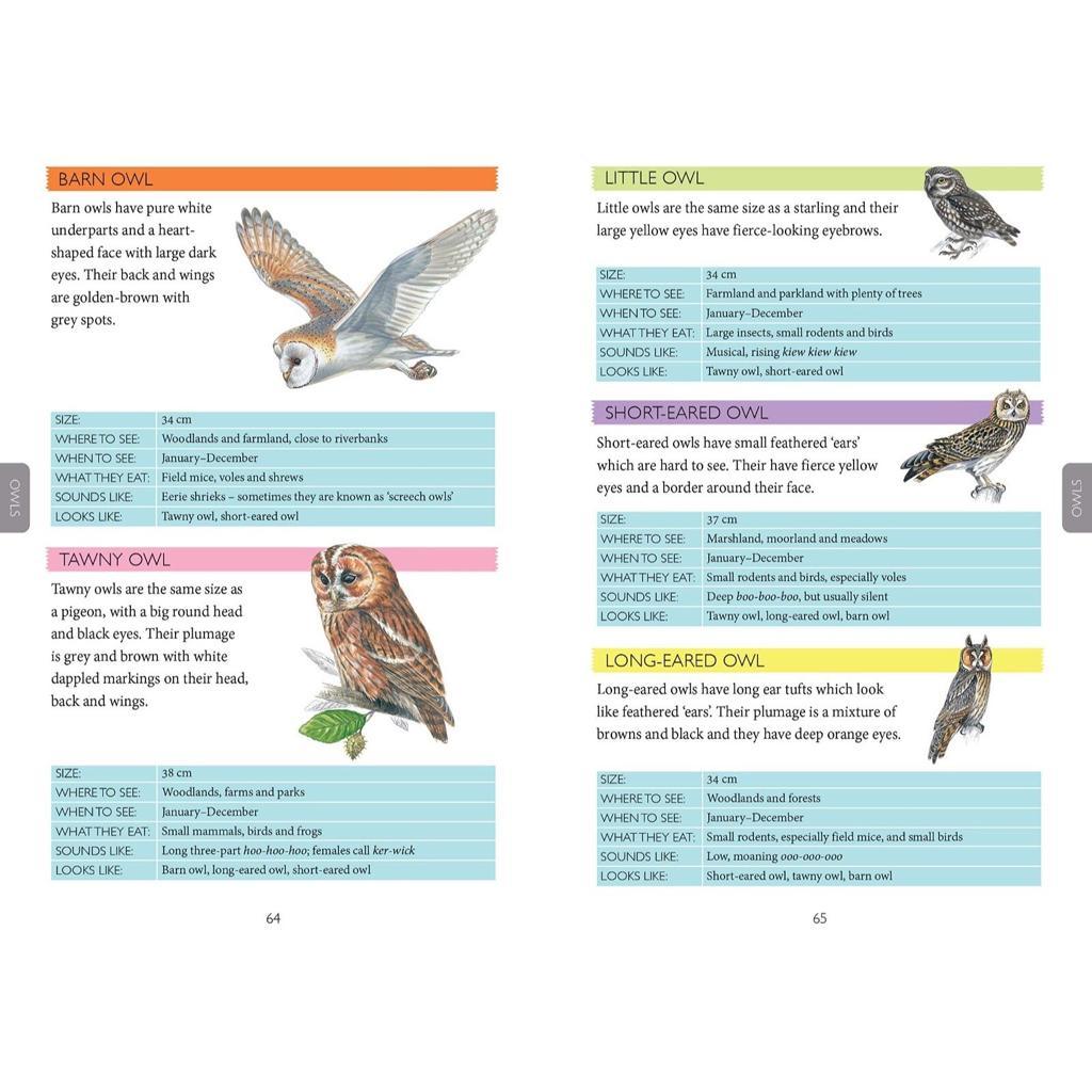 Nosy Crow Books National Trust: Out and About Bird Spotter Book (6798933033120)