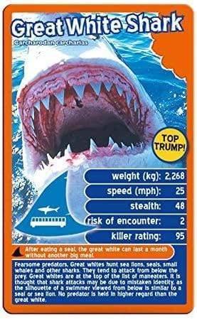 Predators Top Trumps - Wigwam Toys Brighton (5850948763808)