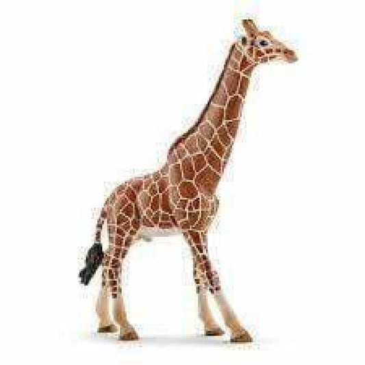 Schleich 14749 Giraffe Male - Wigwam Toys Brighton (1673993060423)