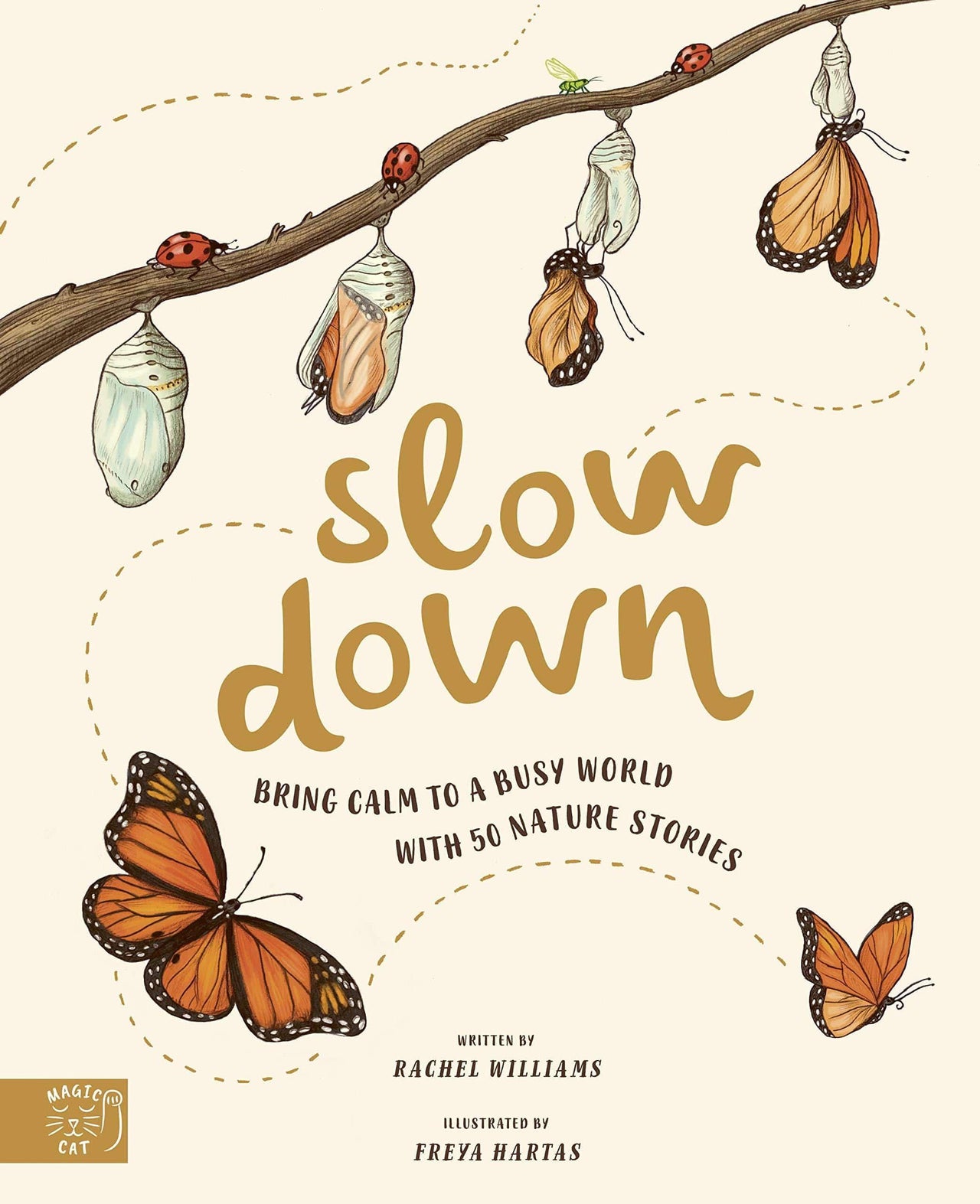 Slow Down by Rachel Williams & Freya Hartas - Wigwam Toys Brighton (5429696725152)