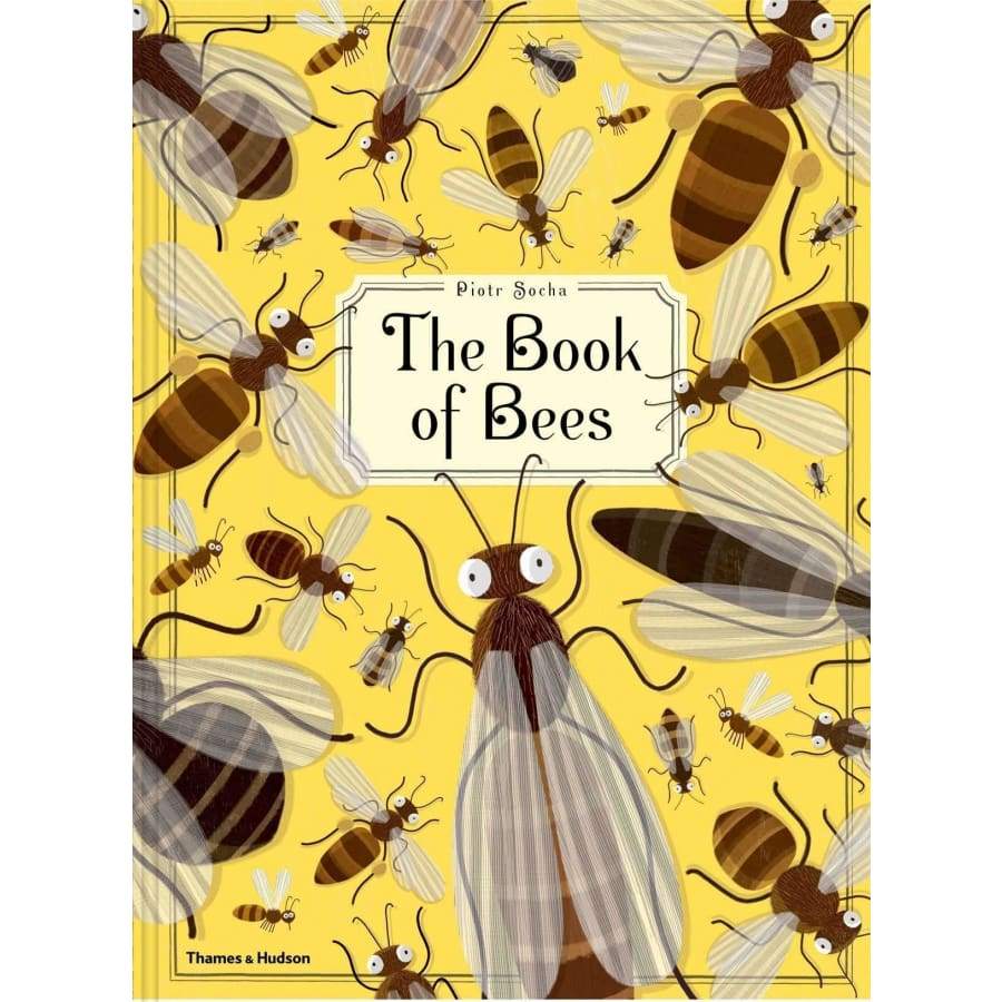 The Book of Bees by Piotr Socha - Wigwam Toys Brighton (1713669472327)
