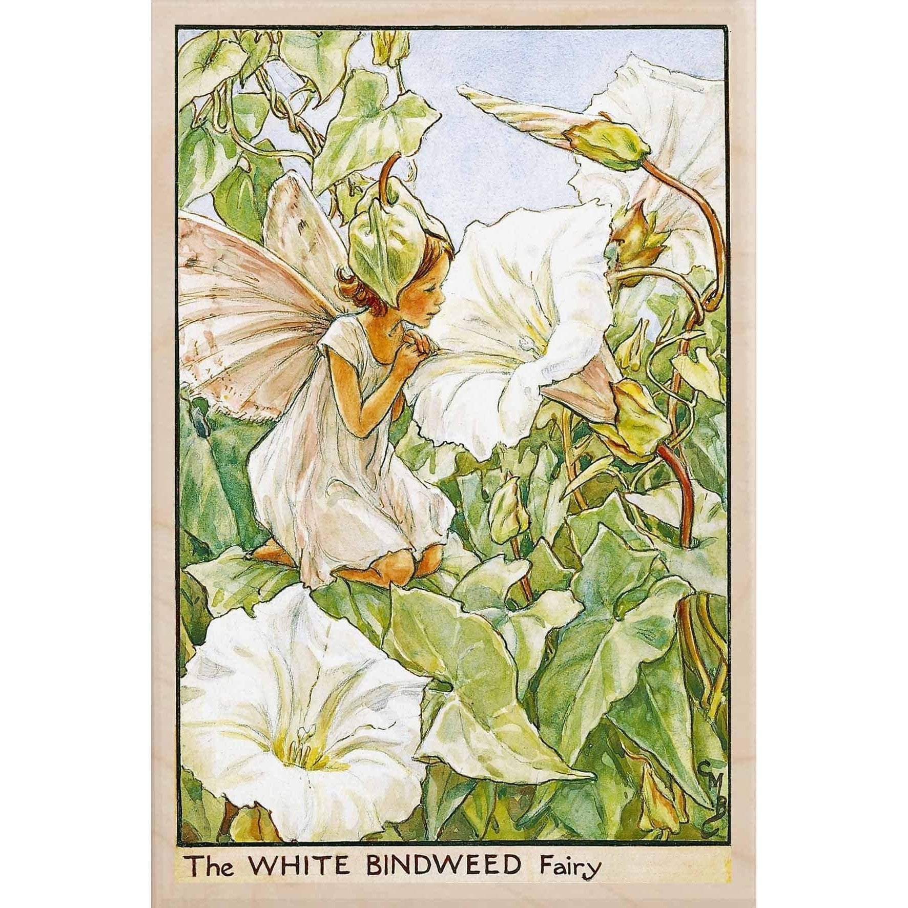 The Wooden Postcard Company Postcard White Bindweed Fairy Wooden Postcard (7069884088480)
